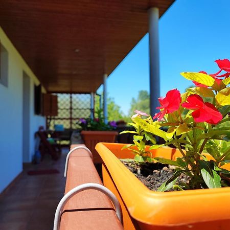 Apartman Dunav Aljmaš 외부 사진