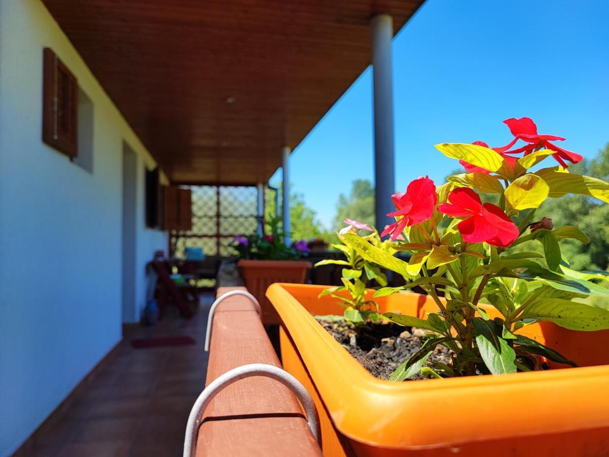 Apartman Dunav Aljmaš 외부 사진